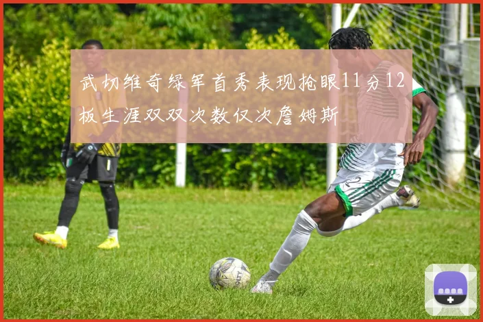 武切维奇绿军首秀表现抢眼11分12板生涯双双次数仅次詹姆斯