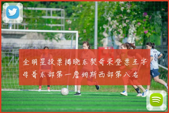 全明星投票揭晓东契奇荣登票王字母哥东部第一詹姆斯西部第八名